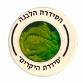פוג 622